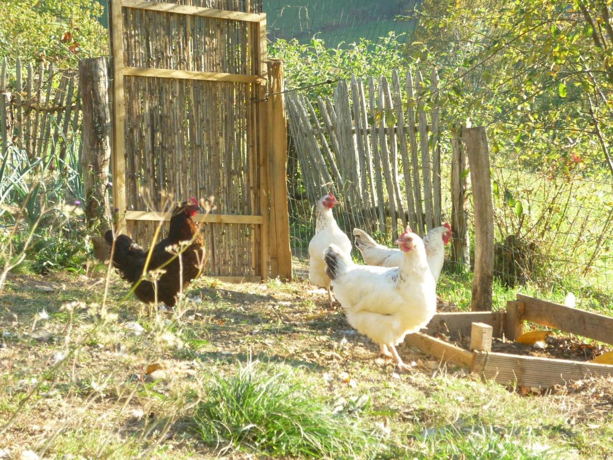 Les Granges De La Hulotte, La Hulotte Villa Lies Ngoại thất bức ảnh